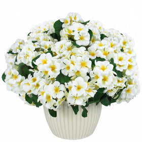 Versatile Hananona indoor/outdoor geranium decor for homes and offices