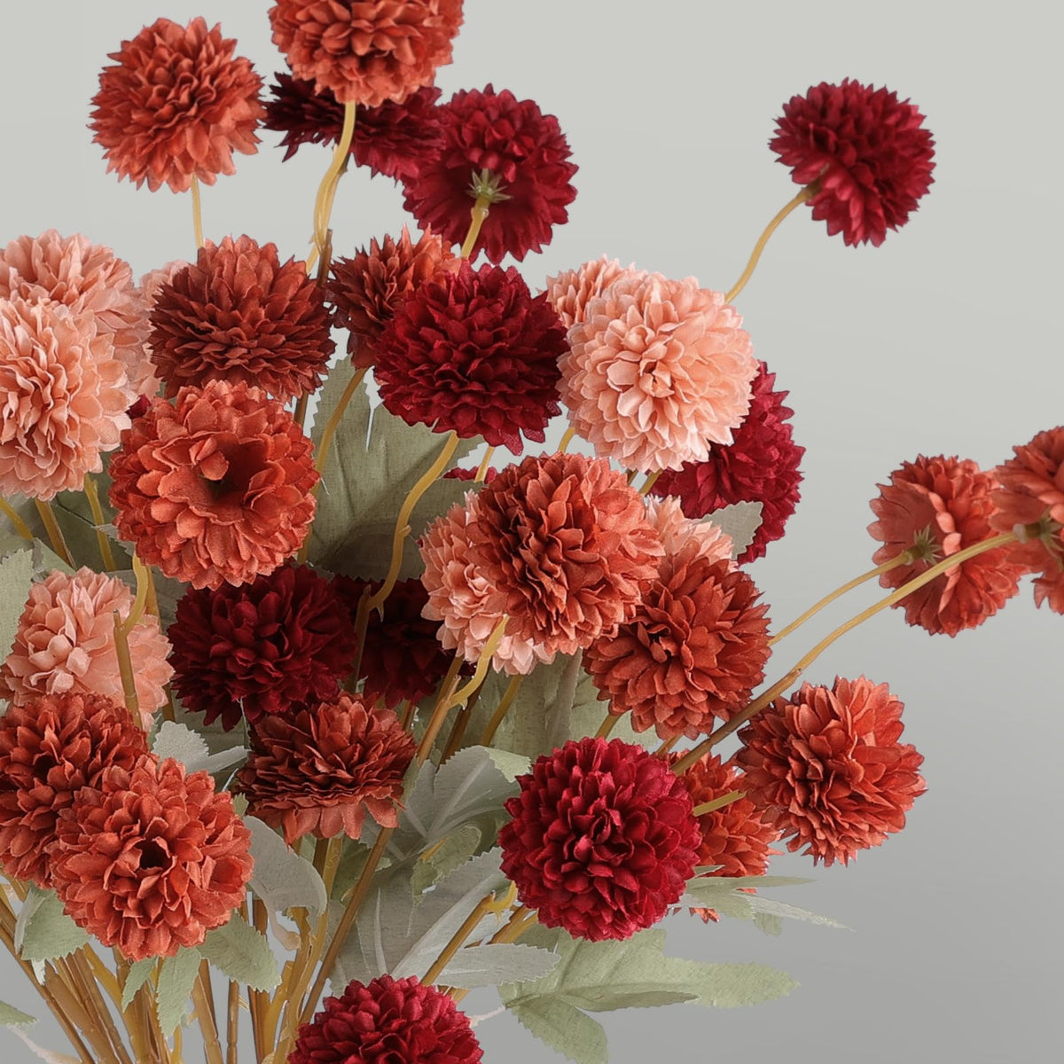 Hananona Kiku mums deep peach provide soft contrast on autumn tables.