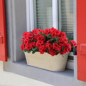 Hananona red geraniums in sunlight, UV-resistant color retention.