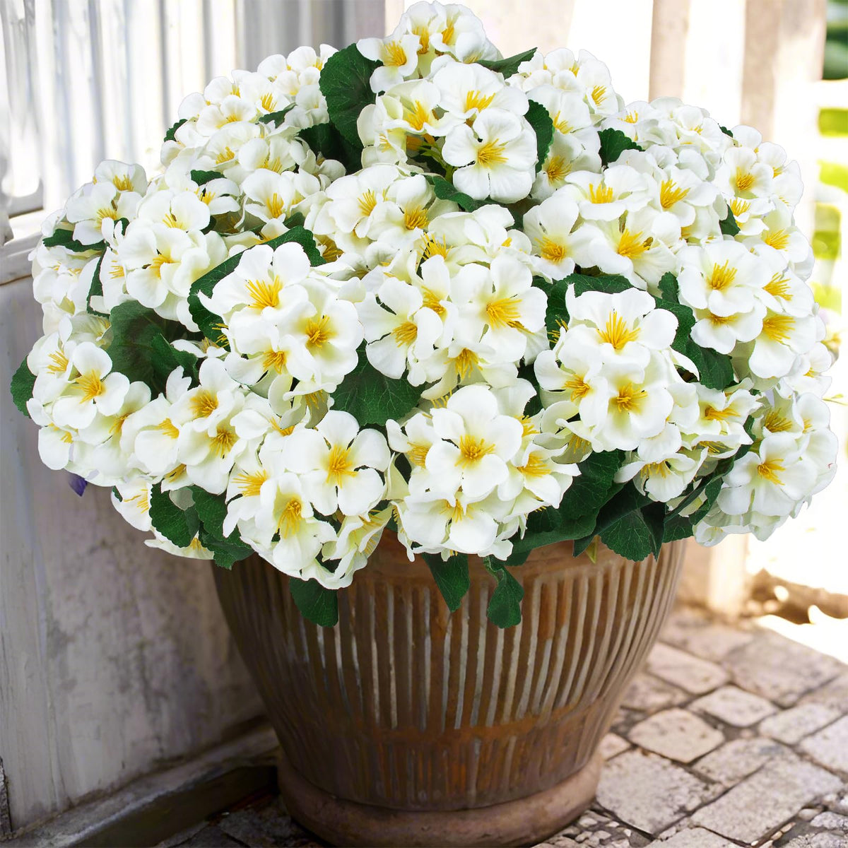 Hananona snow-white outdoor geraniums in a bundled arrangement for decor