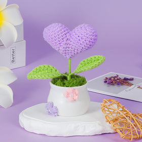 Hangerspace fuzzy socks conveying cozy comfort as a gift