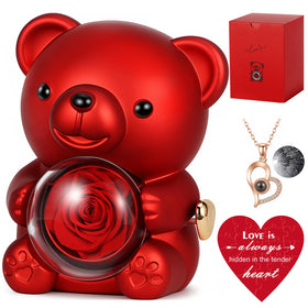 Hangerspace teddy bear with preserved rose in elegant gift box, a lasting keepsake.