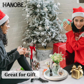 Hanobe housewarming gift tray presents a thoughtful home welcome.