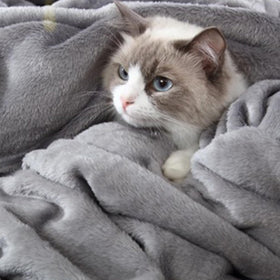 Hansleep blanket draped on sofa, ideal for lounging and family time