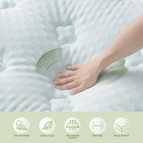 Hansleep vacuum-packed arrival image signals compact packaging and easy storage