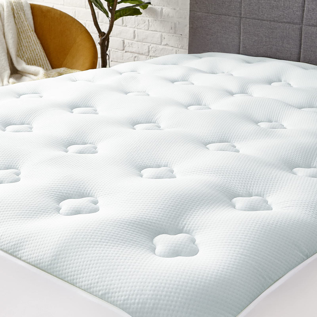 Hansleep vacuum-packed packaging; allow two days to regain thickness.