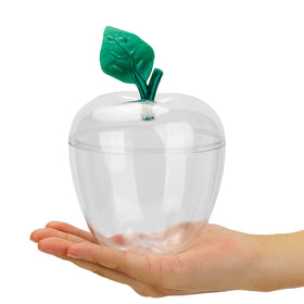 HANZE wedding or party favor apple jar with reusable appeal.