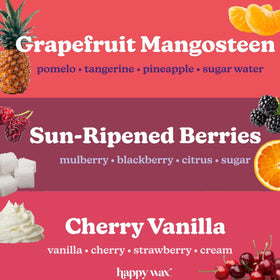 Happy Wax Fruity Favorites grapefruit mangosteen bear melts with bright citrus aroma