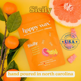 Happy Wax Italian Mix Amalfi bear melts carry orange blossom and neroli scents.