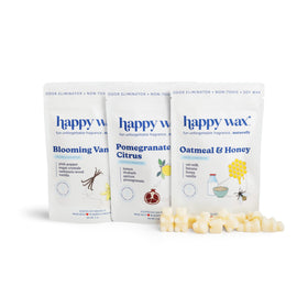 Happy Wax bear-shaped Oatmeal & Honey melt in warmer, cozy fragrance.