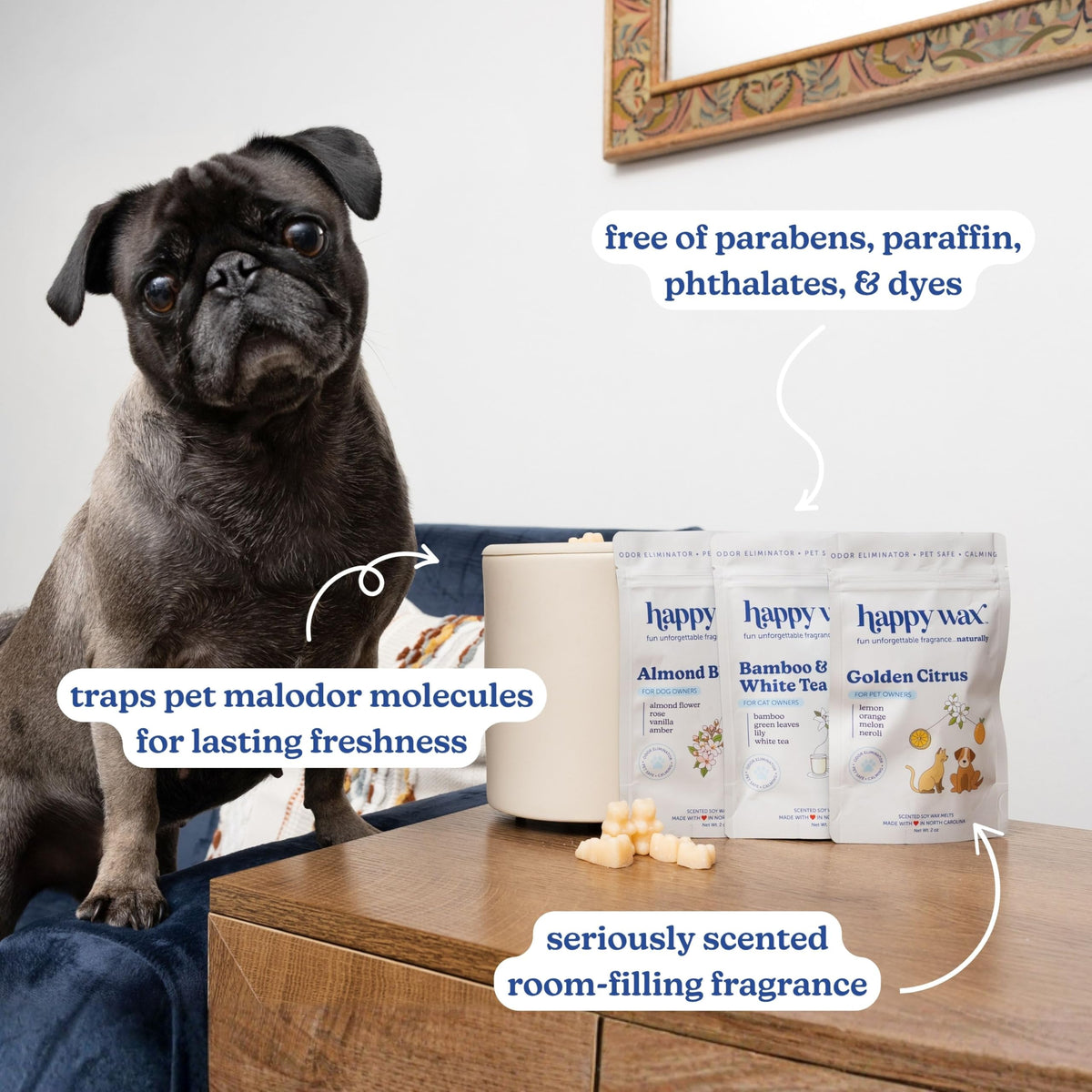 Happy Wax Pet Scents Golden Citrus melts in a tray, vibrant pet-safe odor control.