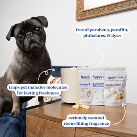 Happy Wax Pet Scents Golden Citrus melts in a tray, vibrant pet-safe odor control.