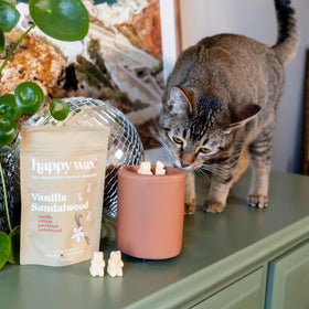 Happy Wax Vanilla Sandalwood bear wax melt aroma in a living space highlights extended fragrance
