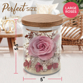 Havenstock pink rose under acacia lid for personalized keepsake engraving