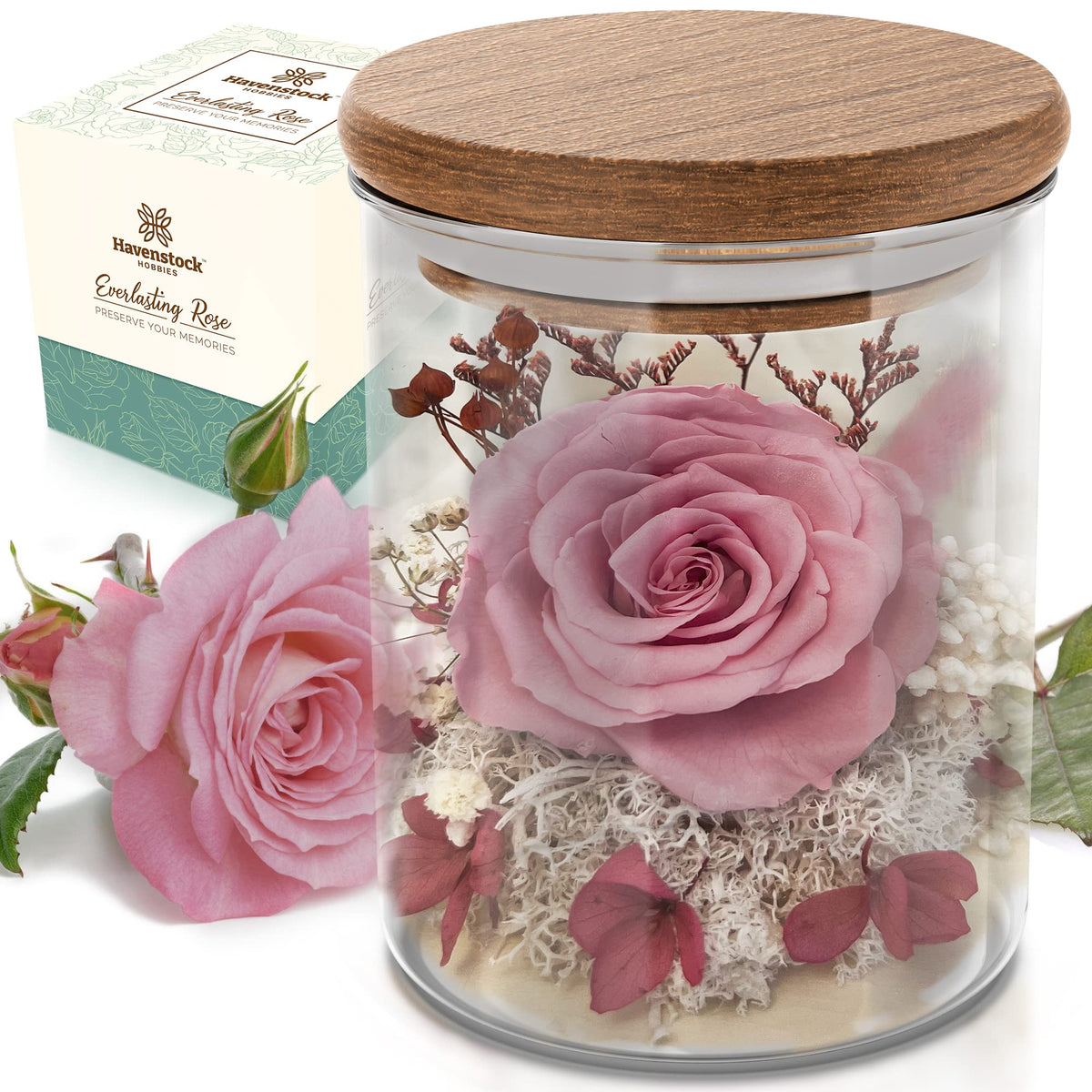 Havenstock pink rose in glass dome enhances home decor with lasting beauty