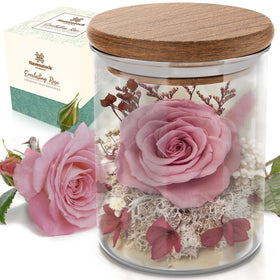 Havenstock pink rose in glass dome enhances home decor with lasting beauty