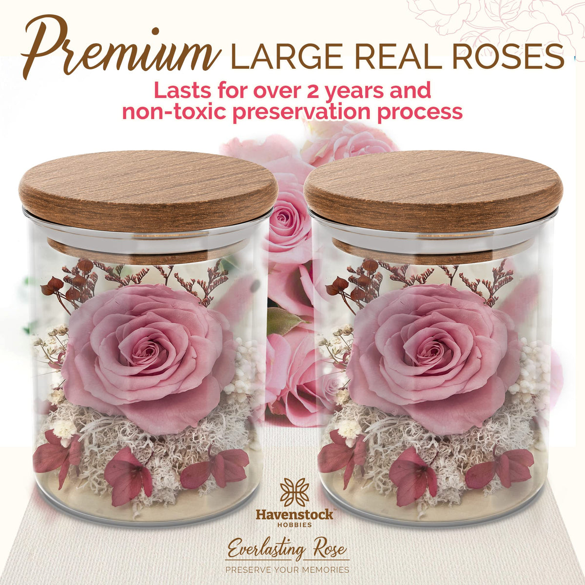 Havenstock pink rose for weddings or events with lasting elegance