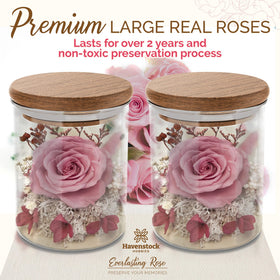 Havenstock pink rose for weddings or events with lasting elegance
