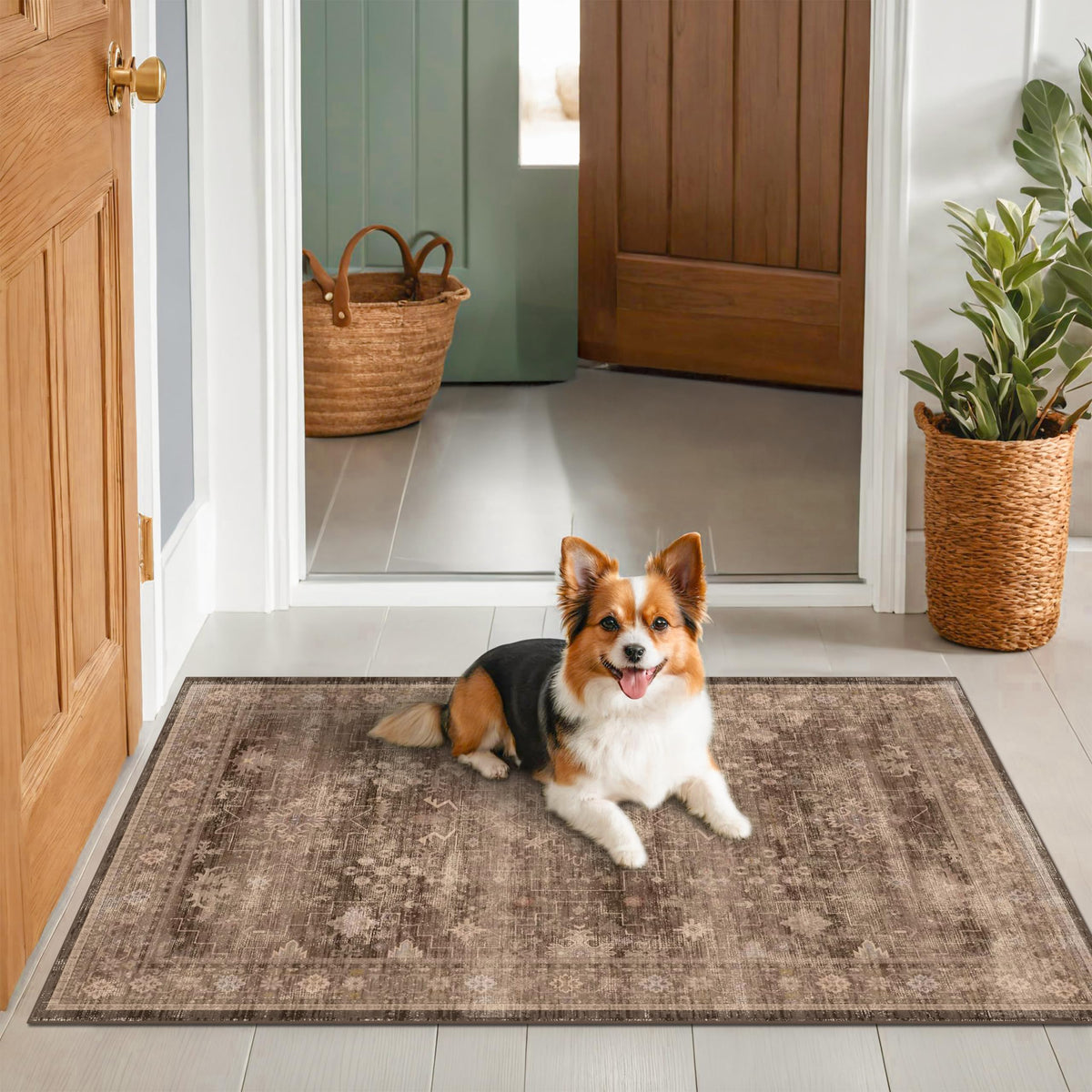 Hazo Haus boho taupe rug can be rolled out quickly to refresh spaces.