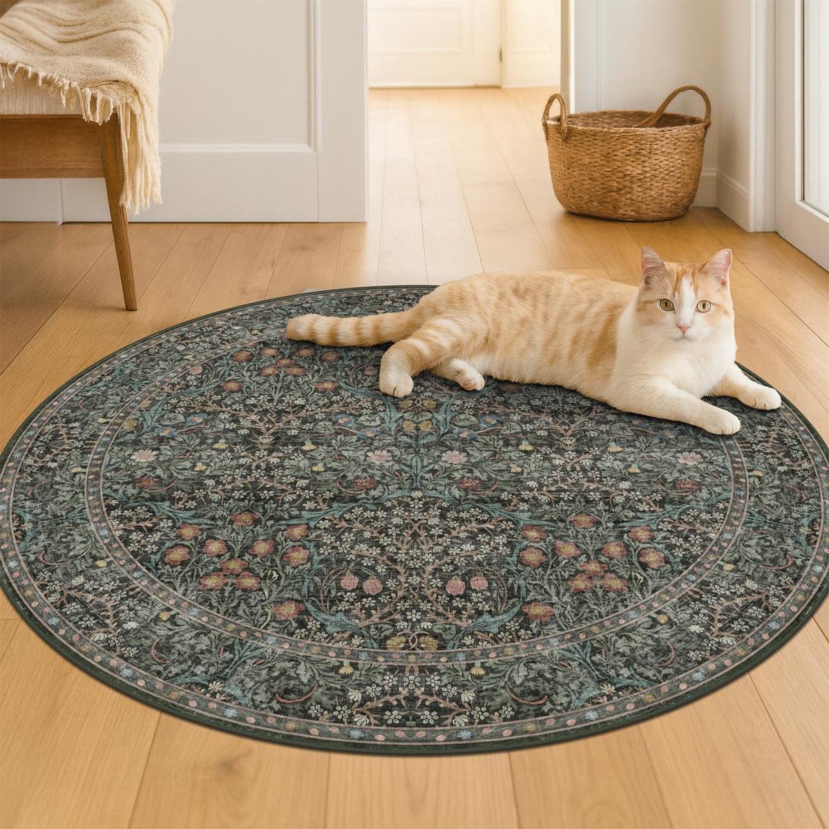Hazo Haus machine-washable rug for effortless cleaning.