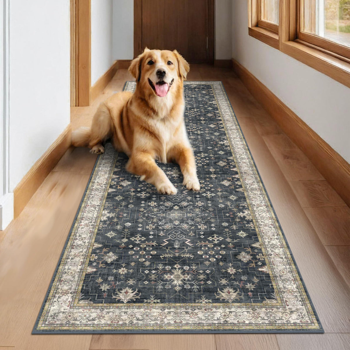 Hazo Haus durable 0.25 inch pile rug demonstrates pet-friendly design.