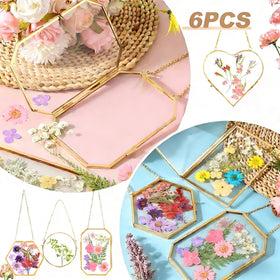 HBLEDOT octagon pressed flower frame blends vintage charm with natural keepsakes.