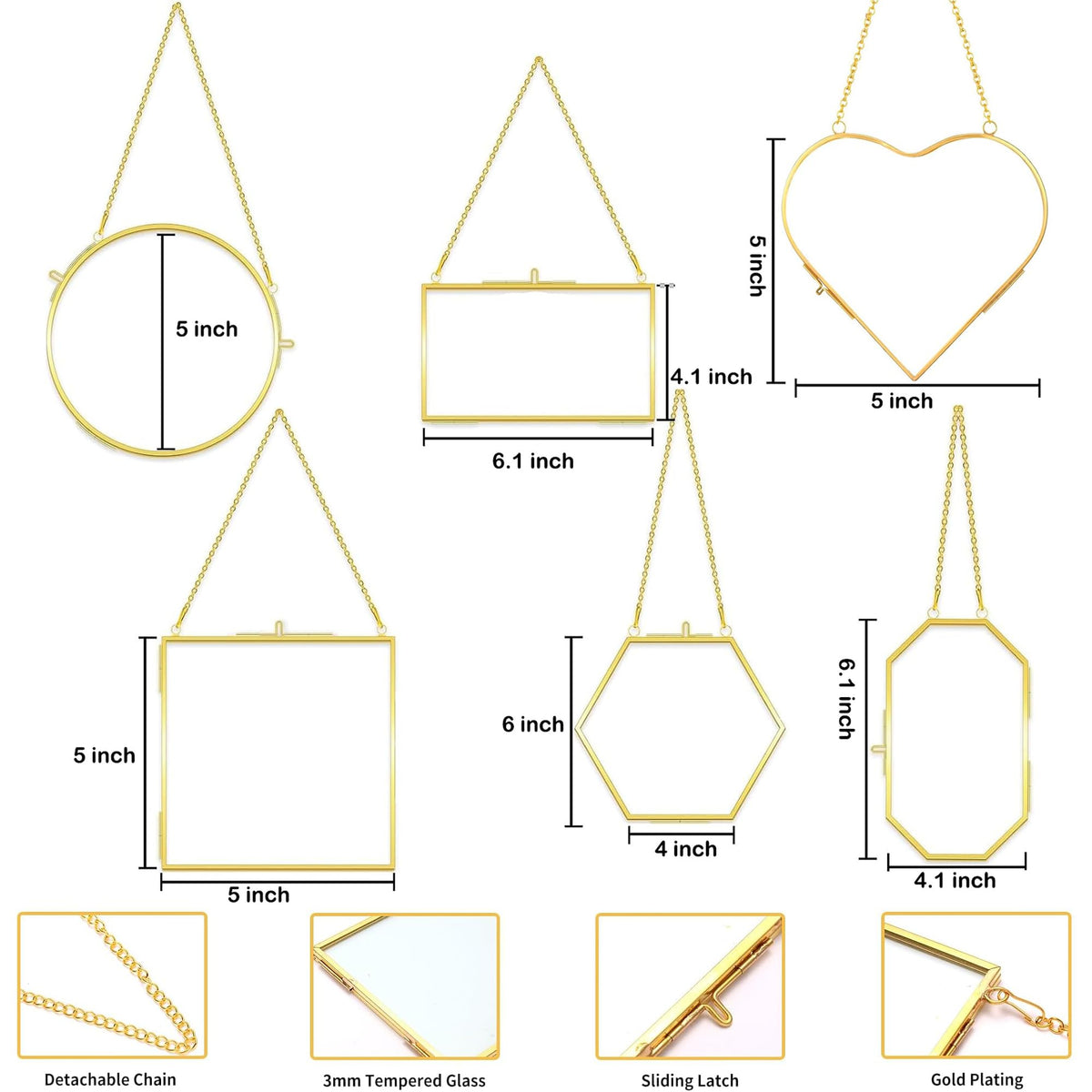 HBLEDOT rectangle pressed flower frame displays plant specimens in a modern setting.