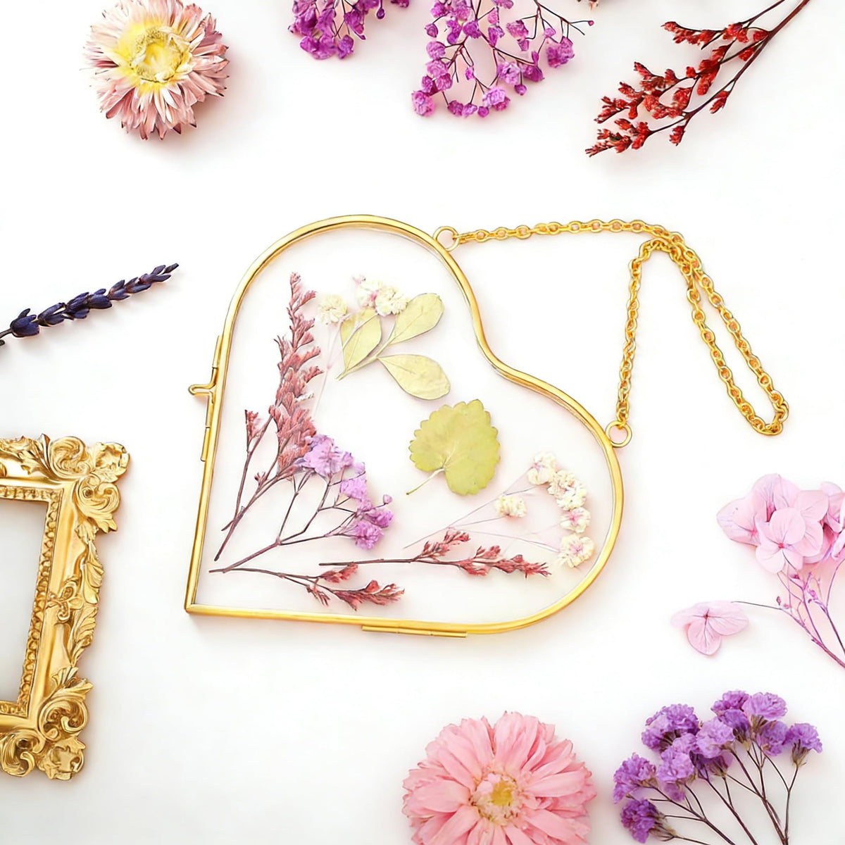 HBLEDOT round pressed flower frame highlights memories and botanicals in a chic layout.