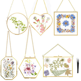 HBLEDOT square pressed flower frame showcases dried botanicals for elegant wall decor.