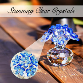 H&D HYALINE & DORA tabletop display idea elevates home or office decor.