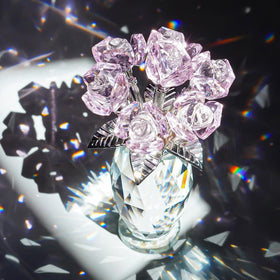Seven blooming pink crystal petals of the H&D Hyaline & Dora rose featured close-up