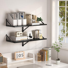 Large-capacity shelves holding books, plants, and decor