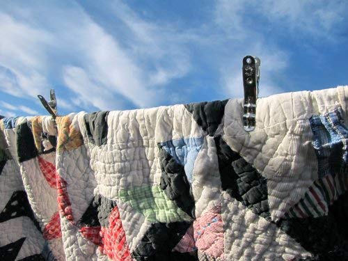 Henry Berry & Dairy Extreme Clothespins with anti-rust finish for long-lasting use