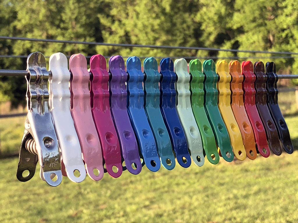 Henry Berry & Dairy Extreme Clothespins used as multi-use clips for bags and papers