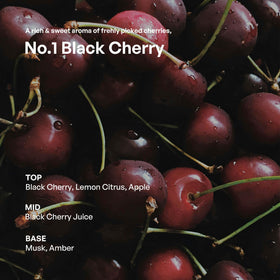 Hetras Glass bottle with Black Cherry accent elevates decor while delivering layered scent.