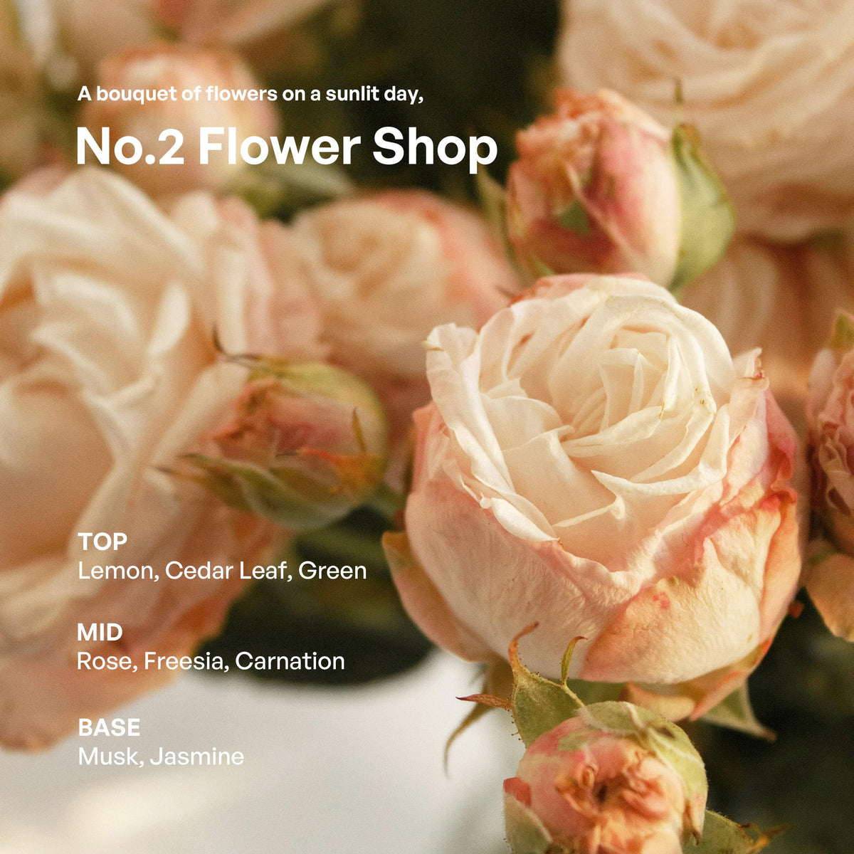 reed sticks arrangement emphasizes layered floral notes for refined ambience