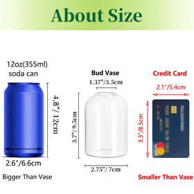 Hewory bud vase side view highlights clear, durable glass