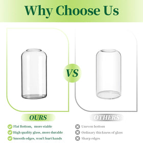 Hewory mini clear bud vase highlighting simple, modern decor accents