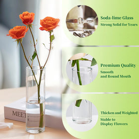 Hewory multi-use vase for fresh flowers, dried arrangements, or propagation.