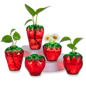 Hewory glass strawberry propagation vase in red for stylish indoor plant displays