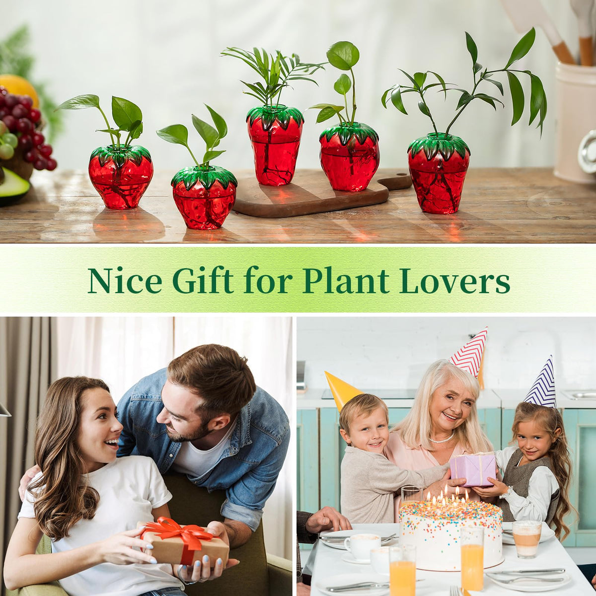 Hewory strawberry vase displayed with small greens for compact indoor garden ideas