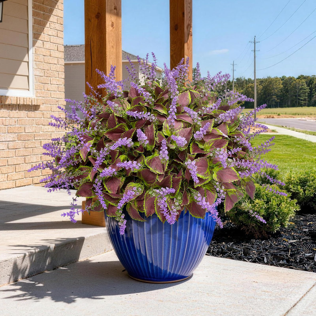 HIFORESTAR no-maintenance greenery stays fresh with zero watering