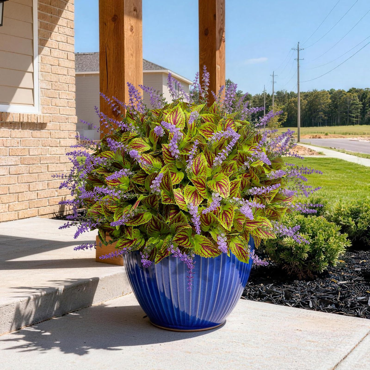 HIFORESTAR purple flowers complement the coleus for a vivid focal point.