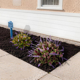 HIFORESTAR UV-resistant outdoors keeps color vibrant without fading