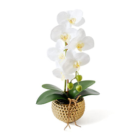 Hisow 15-inch artificial orchid arrangement in gold pot, versatile centerpiece.