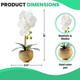 Hisow orchid close-up shows realistic petal texture and real-touch finish.