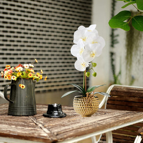 Hisow orchid in gold pot on dining table adds refined style.