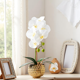 Hisow real-touch petals provide a vivid, natural look.