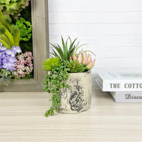 Hisow succulents on bedroom nightstand add calm ambience