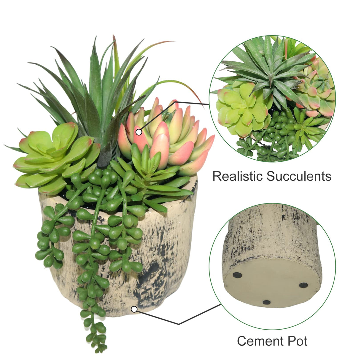 Hisow succulents displayed in living room for elegant decor